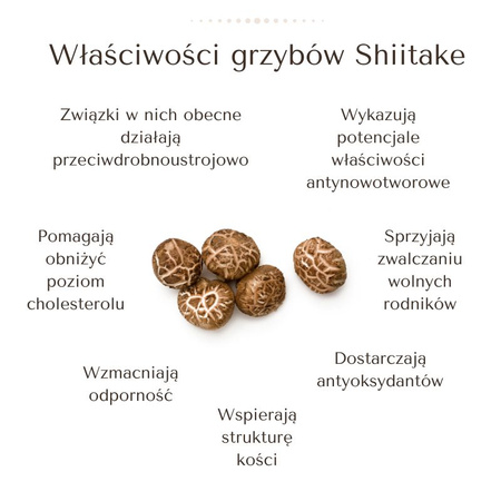 BIO Kawa z Shiitake - średnio mielona do filtrów (227g)